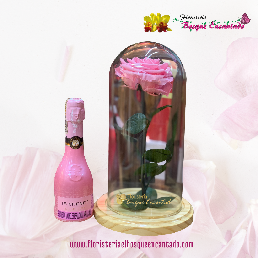 CATÁLOGO ROSA INMORTALIZADA Y FOAMI